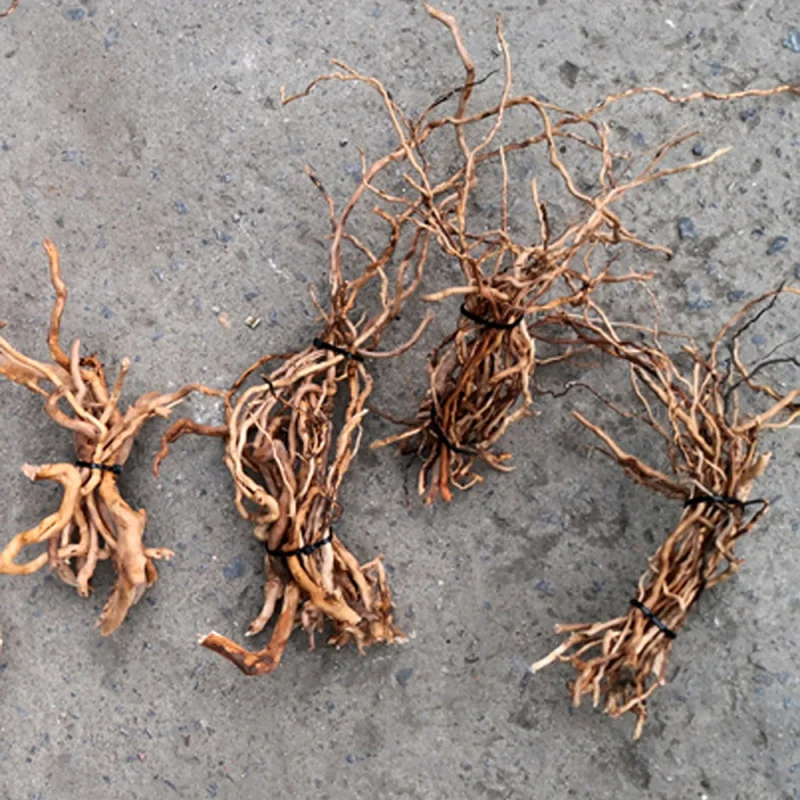 Aquarium Driftwood - Natural Driftwood Root Trunk Tree for