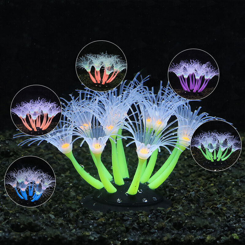 Silicone Glowing Landscape Art - Aquarium Plants Live review and price