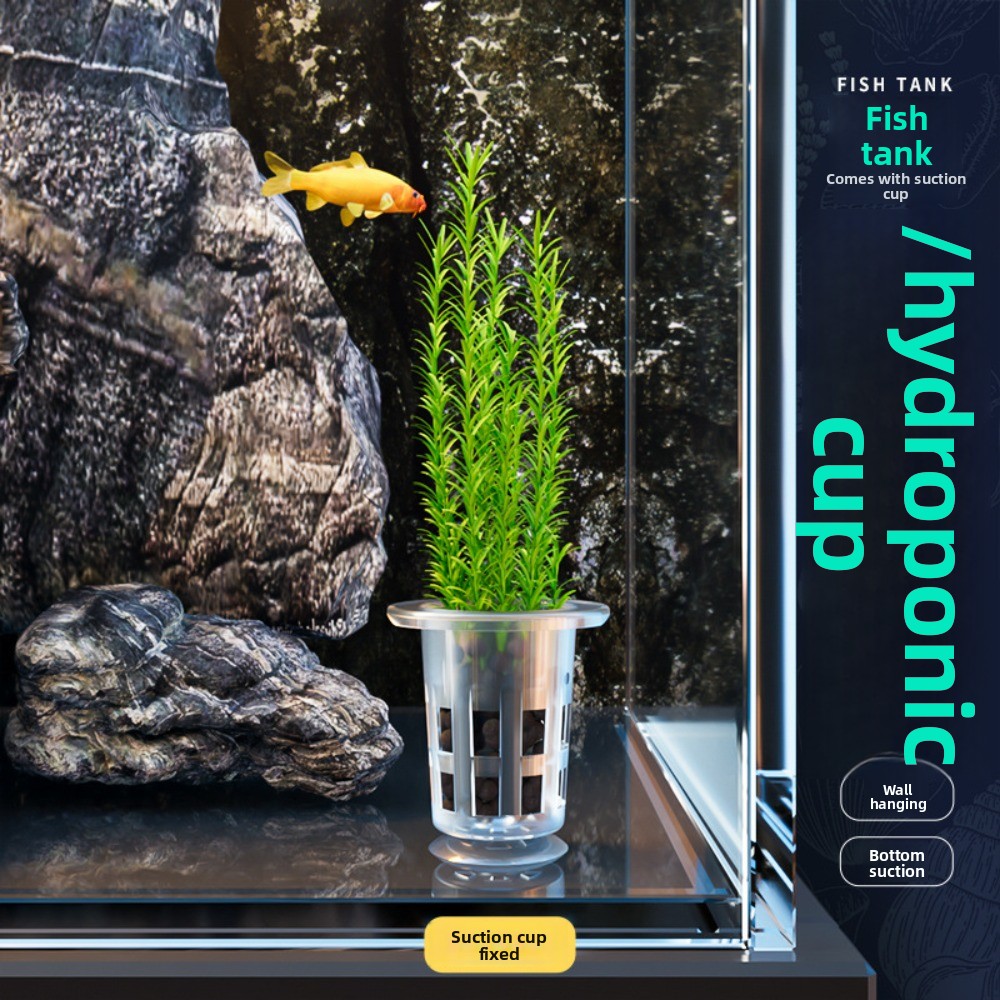 10Pcs Transparent Plant Hydrop - Plant Aquarium Pot review and price