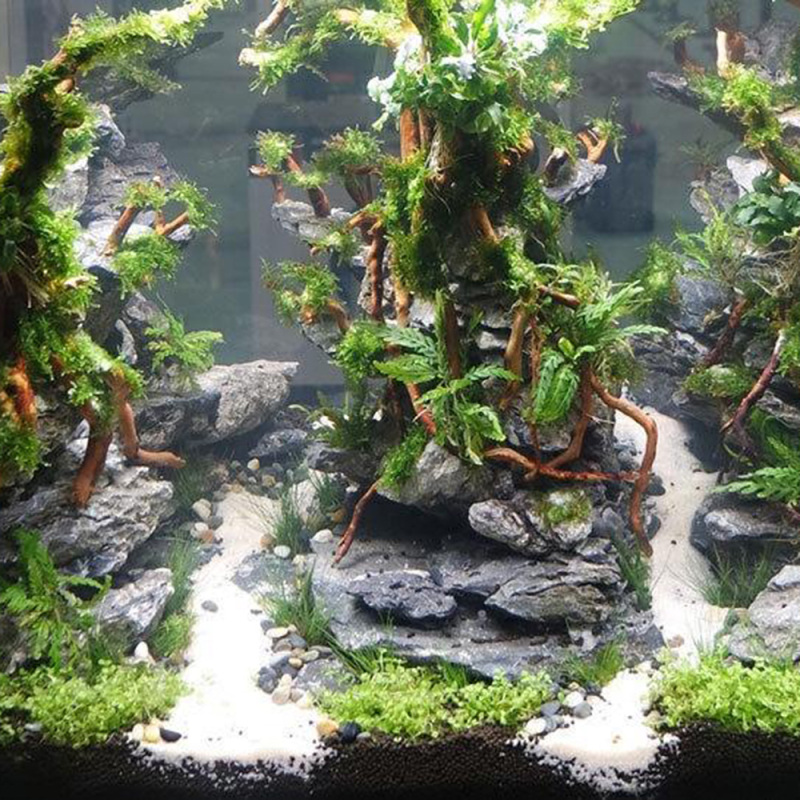 Natural Driftwood Root Trunk T - Aquarium Driftwood review and price
