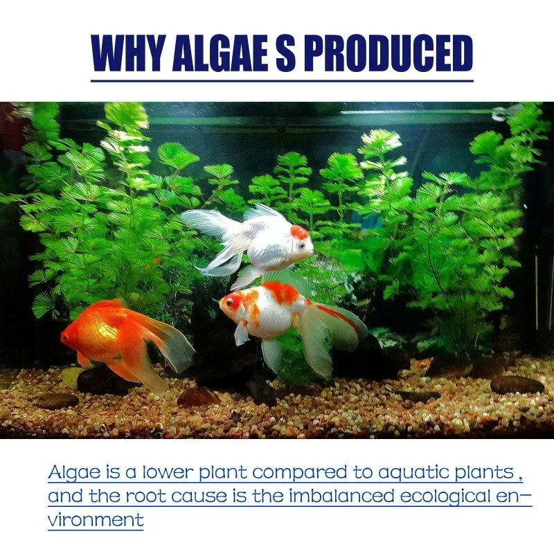 50g High Efficiency Algaecide  - Aquarium Moss review and price
