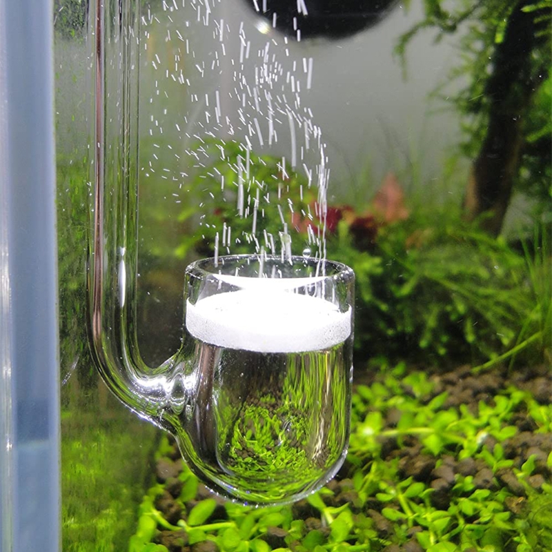 D0AD Glass CO2 Diffuser for Aq - Aquarium Liquid Carbon review and price