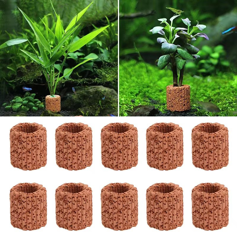 Aquatic Plant Fixed Ring for A - Aquarium Plants Live review and price