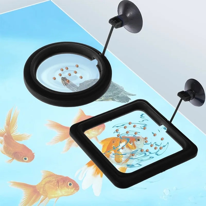 Aquarium Feeding Ring Fish Tan - Aquarium Fertilizer review and price