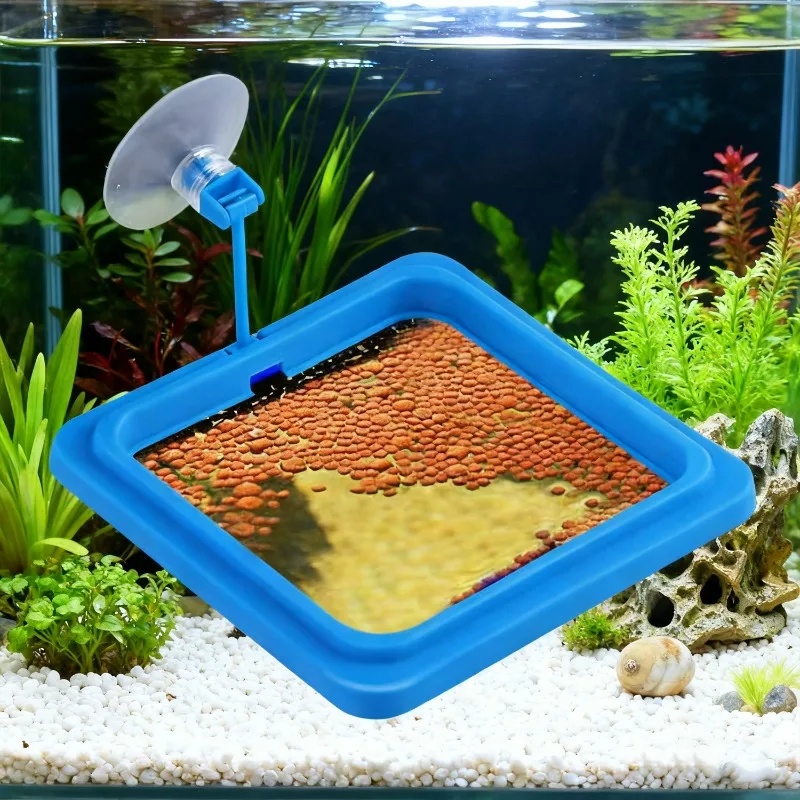 Aquarium Feeding Ring Fish Tan - Aquarium Fertilizer review and price