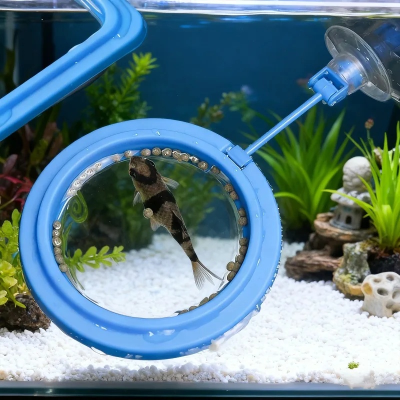 Aquarium Feeding Ring Fish Tan - Aquarium Fertilizer review and price
