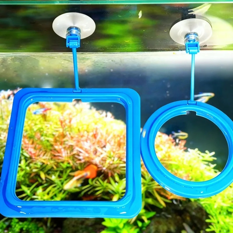 Aquarium Feeding Ring Fish Tan - Aquarium Fertilizer review and price