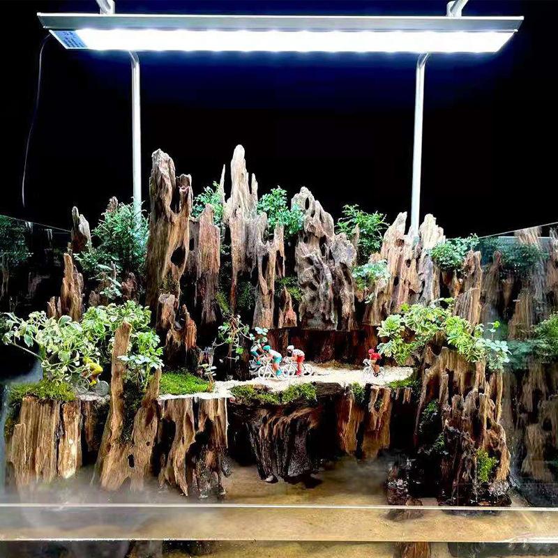Shrimp Wood Aquarium Decor, Dr - Aquarium Driftwood review and price