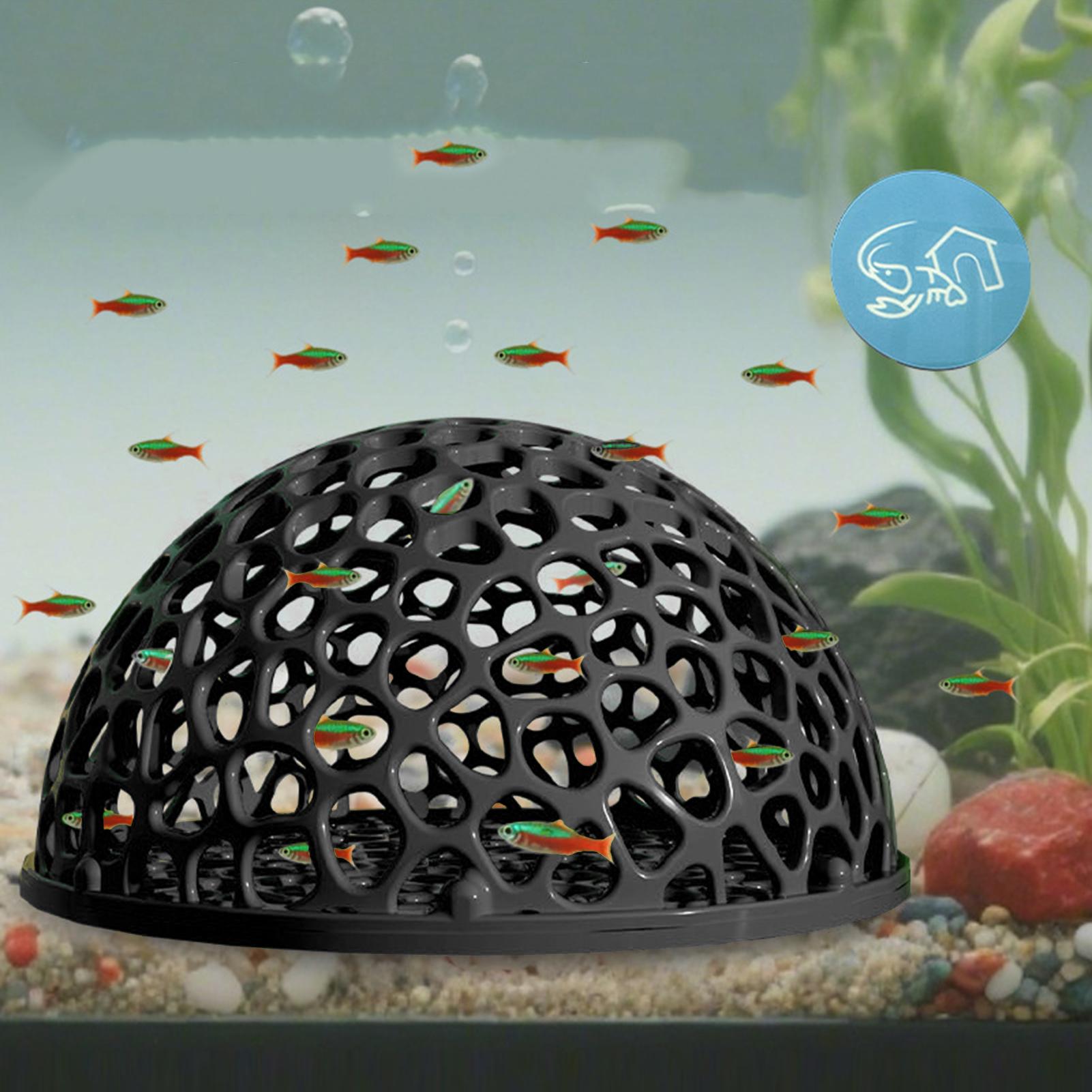 Aquarium Hiden Cave Shelter fo - Aquarium Plants Live review and price