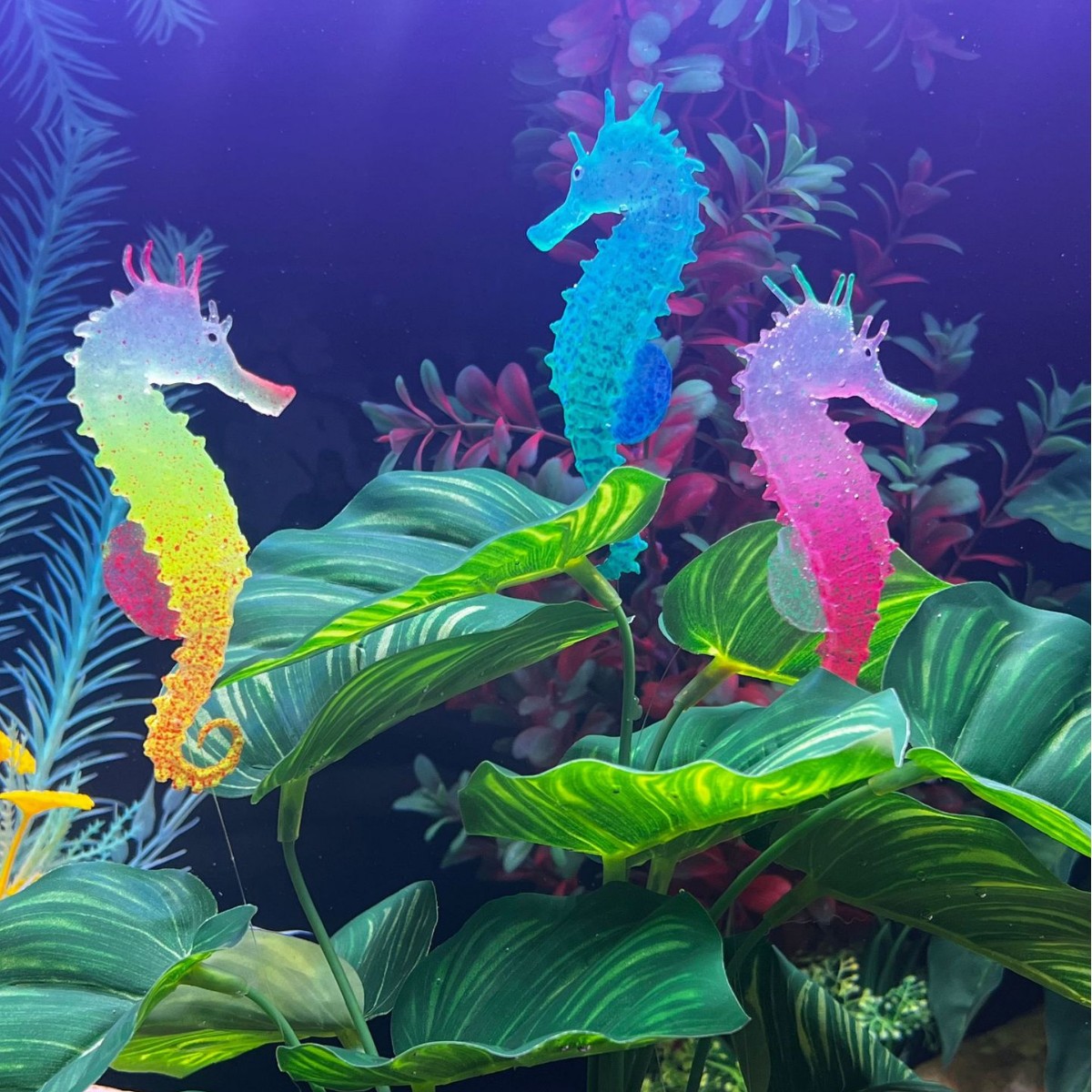 Simulated Luminous Seahorse Fi - Aquarium Plant Substrate review and price