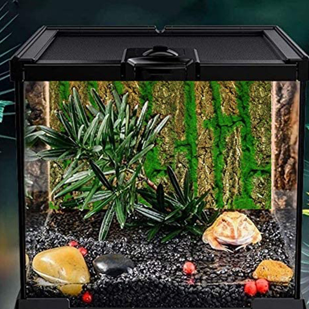 3D Aquarium Background Board S - Aquarium Moss review and price