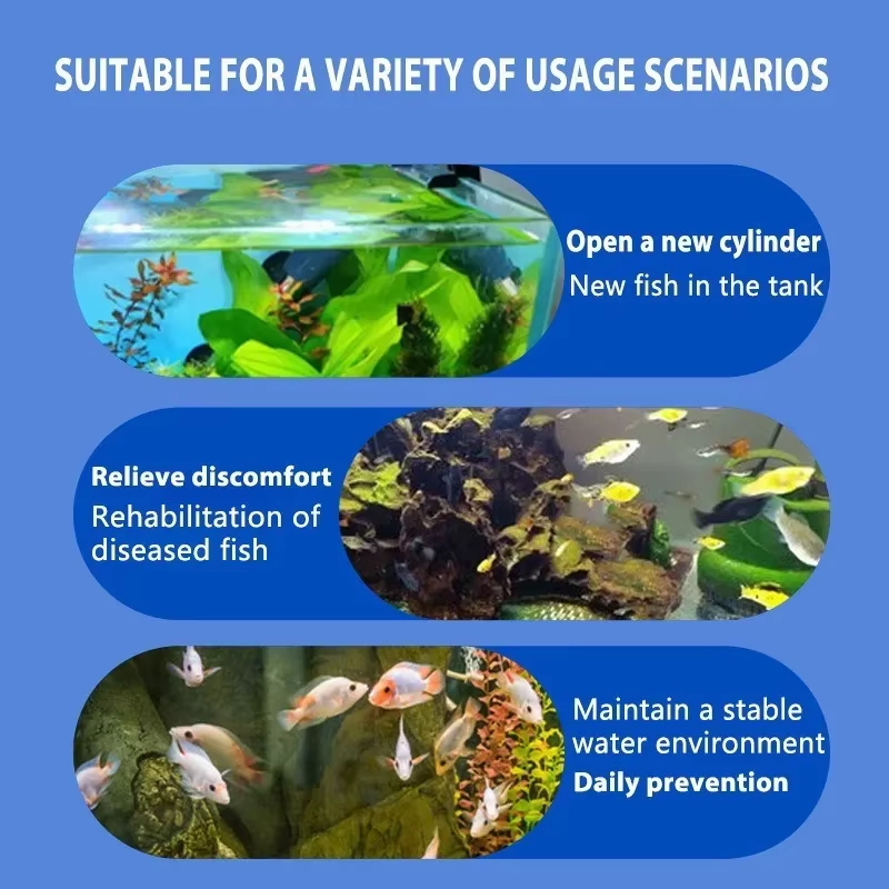 SIKEZHAN Fish Disease Treatmen - Aquarium Liquid Carbon review and price