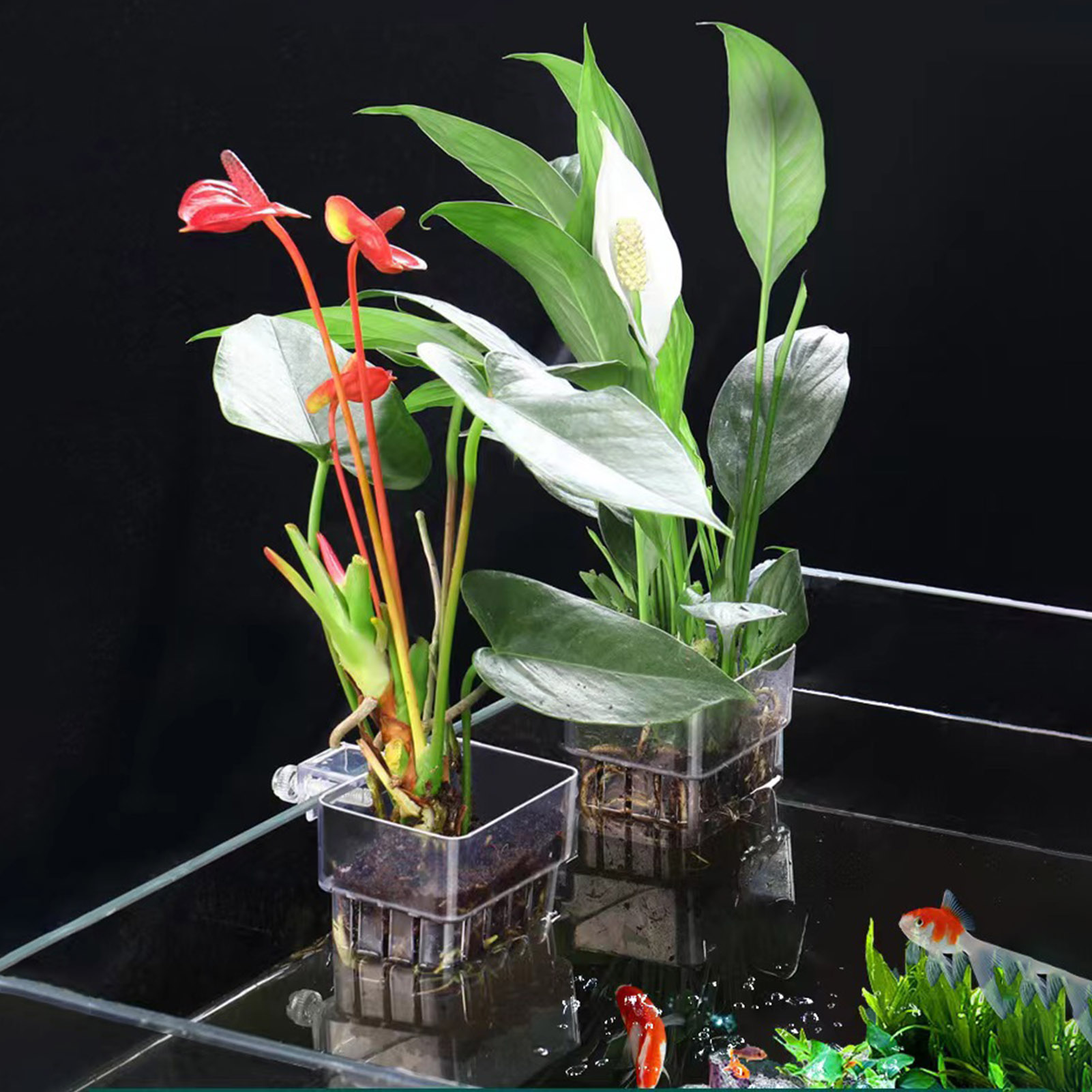 Clear Acrylic Plant Holder Hyd - Aquarium Plant Holder review and price