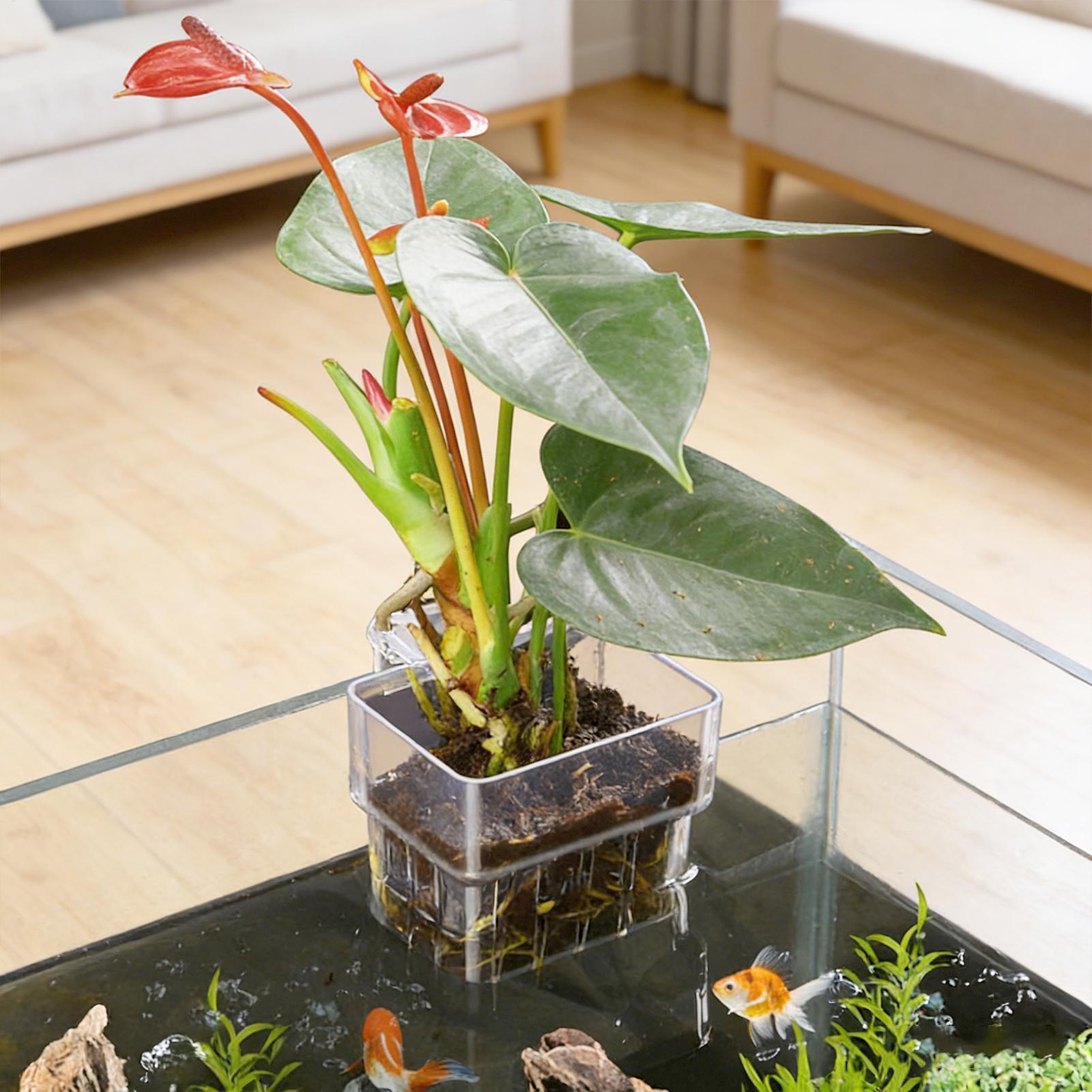Aquarium Plant Basket Transpar - Aquarium Plant Holder review and price