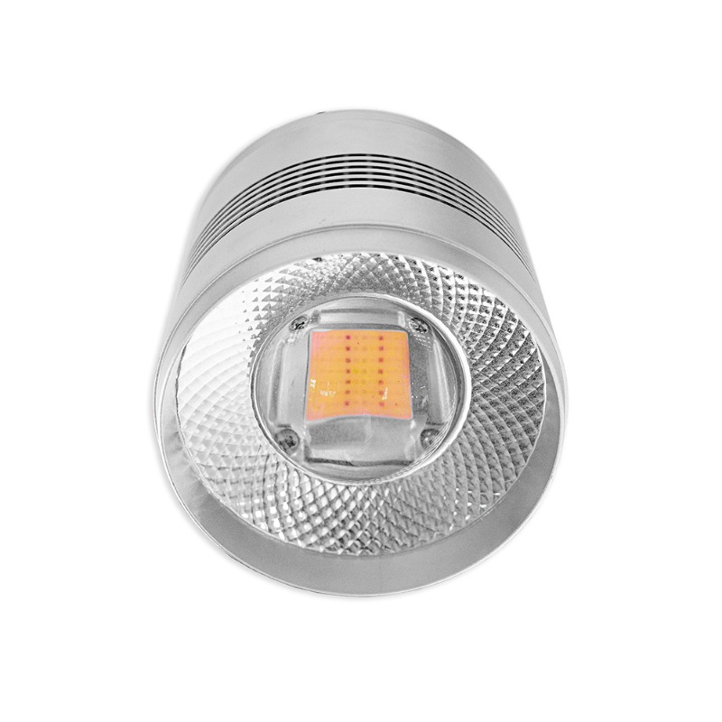 70W LED Aquarium Light for Fre - Planted Aquarium Algae Control review and price