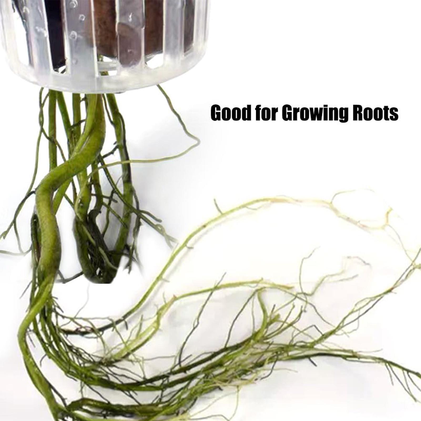 2PCS Hangable Aquatic Plant Ho - Aquarium Plant Holder review and price