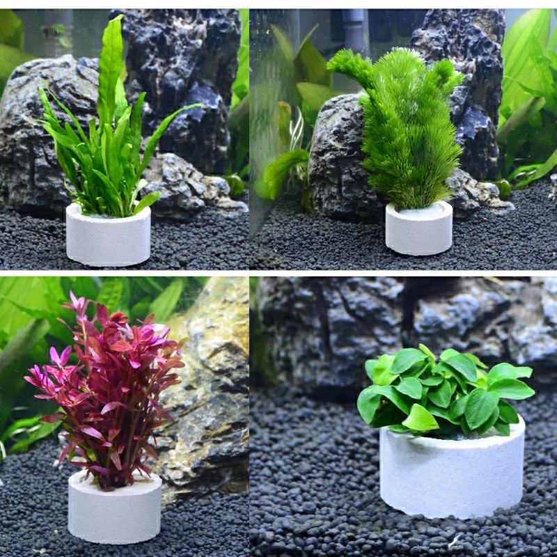 Aquarium Decoration Ceramic Ri - Plant Aquarium Pot review and price