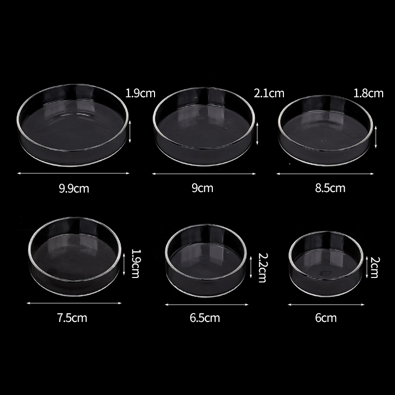 Shrimp Feeding Dish High Trans - Aquarium Fertilizer review and price