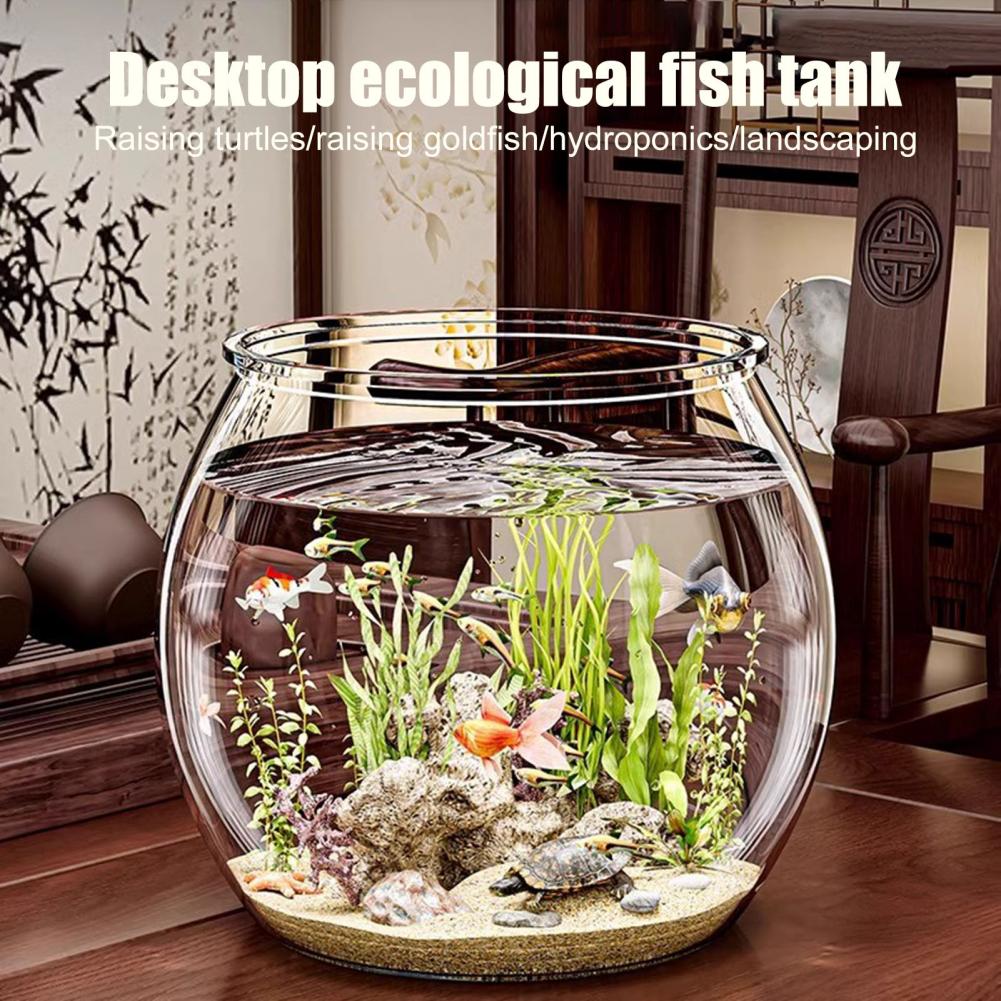 Clear Plastic round Fish Bowl  - Plant Aquarium Pot review and price
