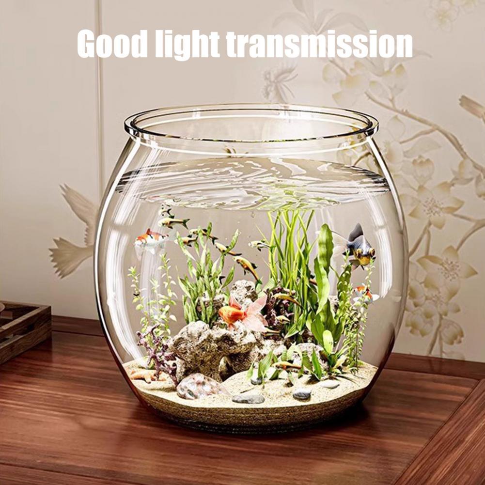 Clear Plastic round Fish Bowl  - Plant Aquarium Pot review and price