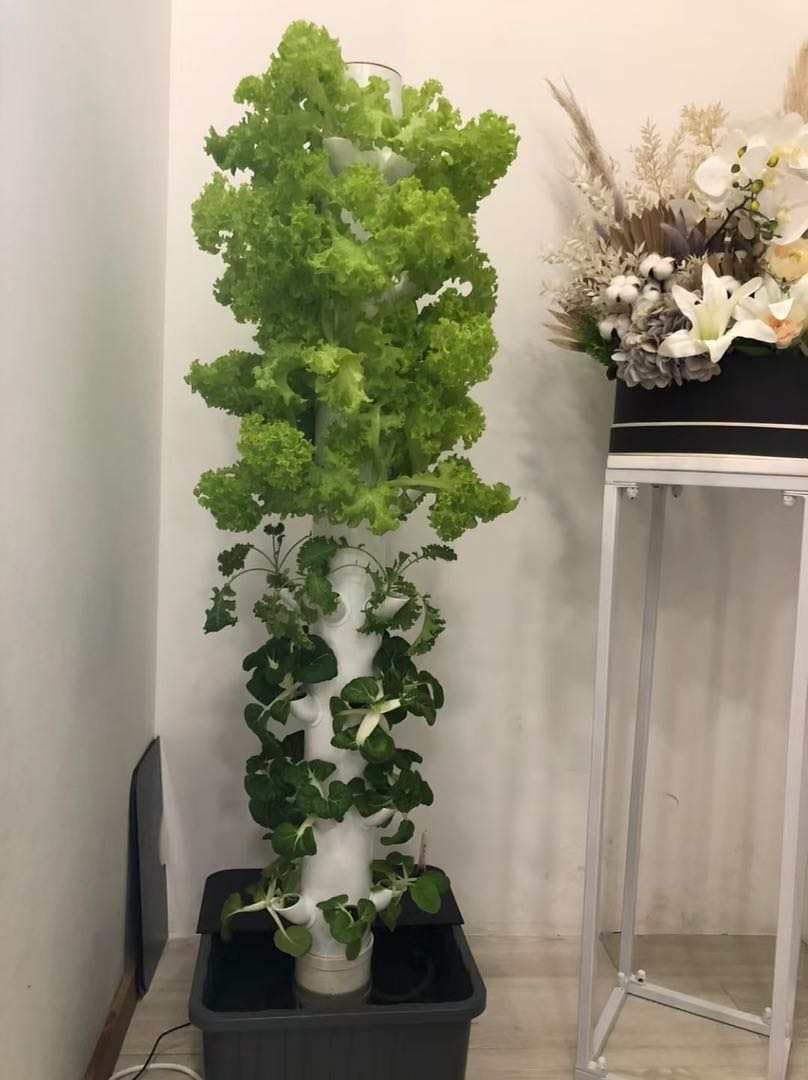 Vertical Hydroponic Grow Tower - Planted Tank review and price