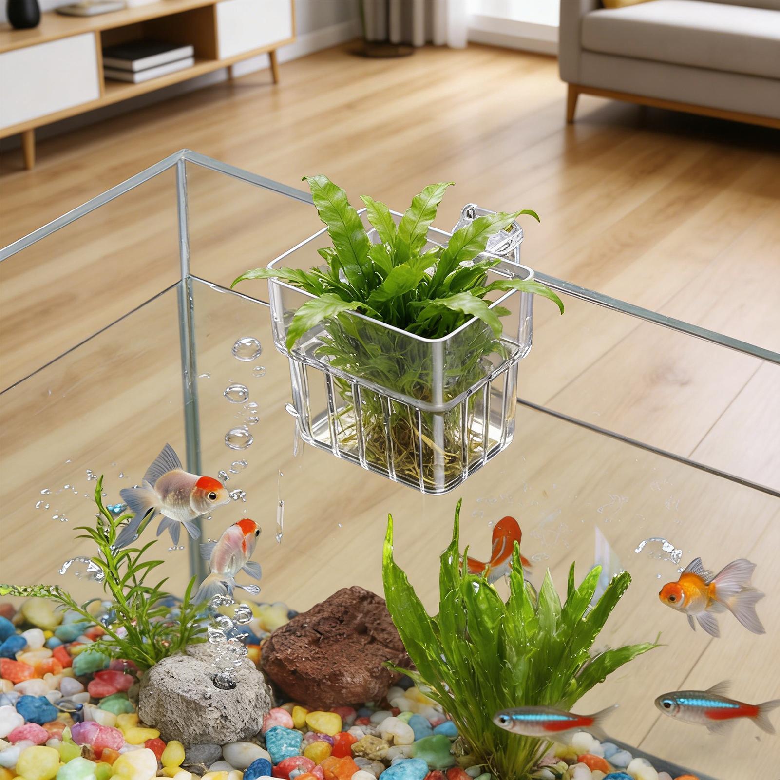 Aquarium Transparent Hanger Po - Plant Aquarium Pot review and price