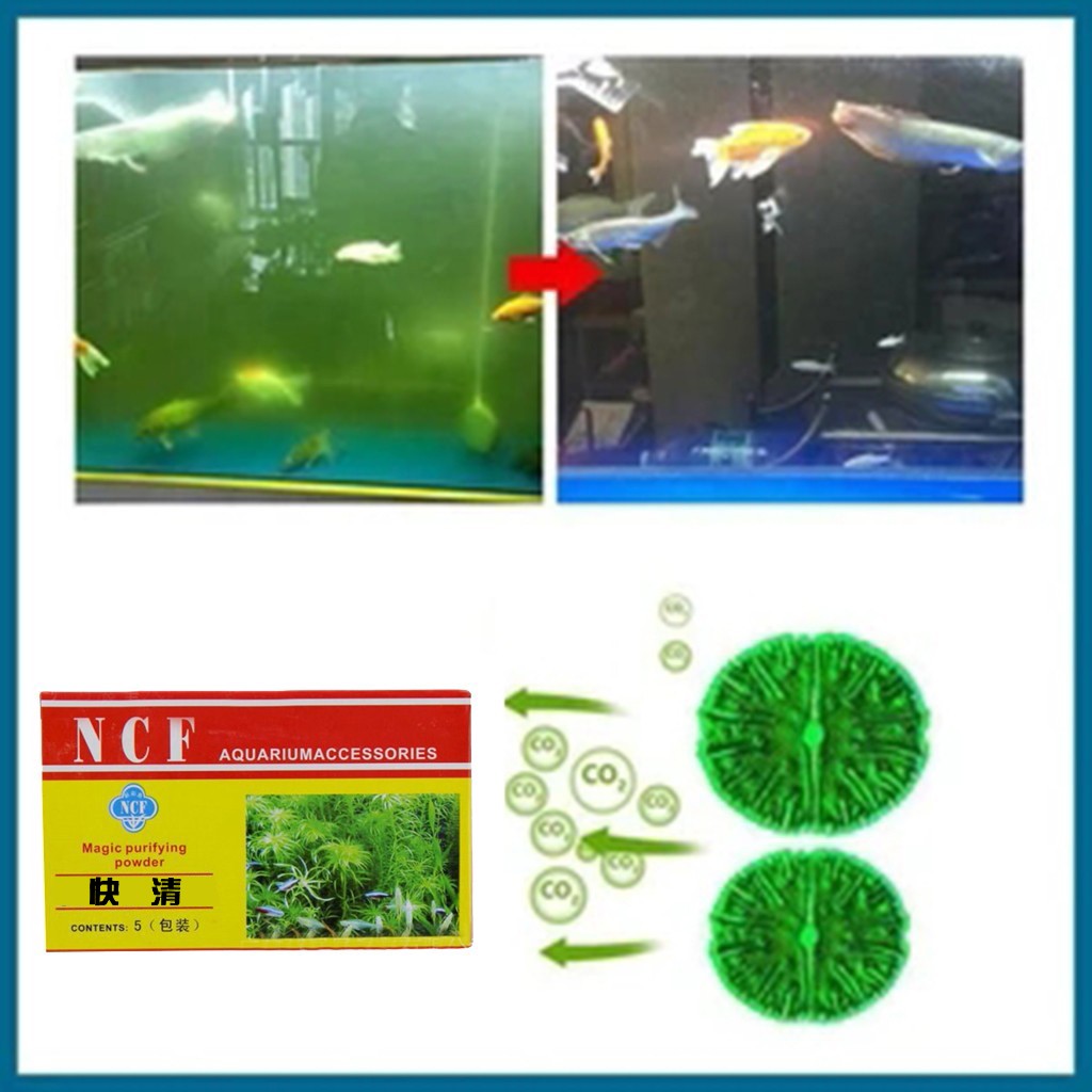 Aquarium Water Purifying Powde - Aquarium Moss review and price