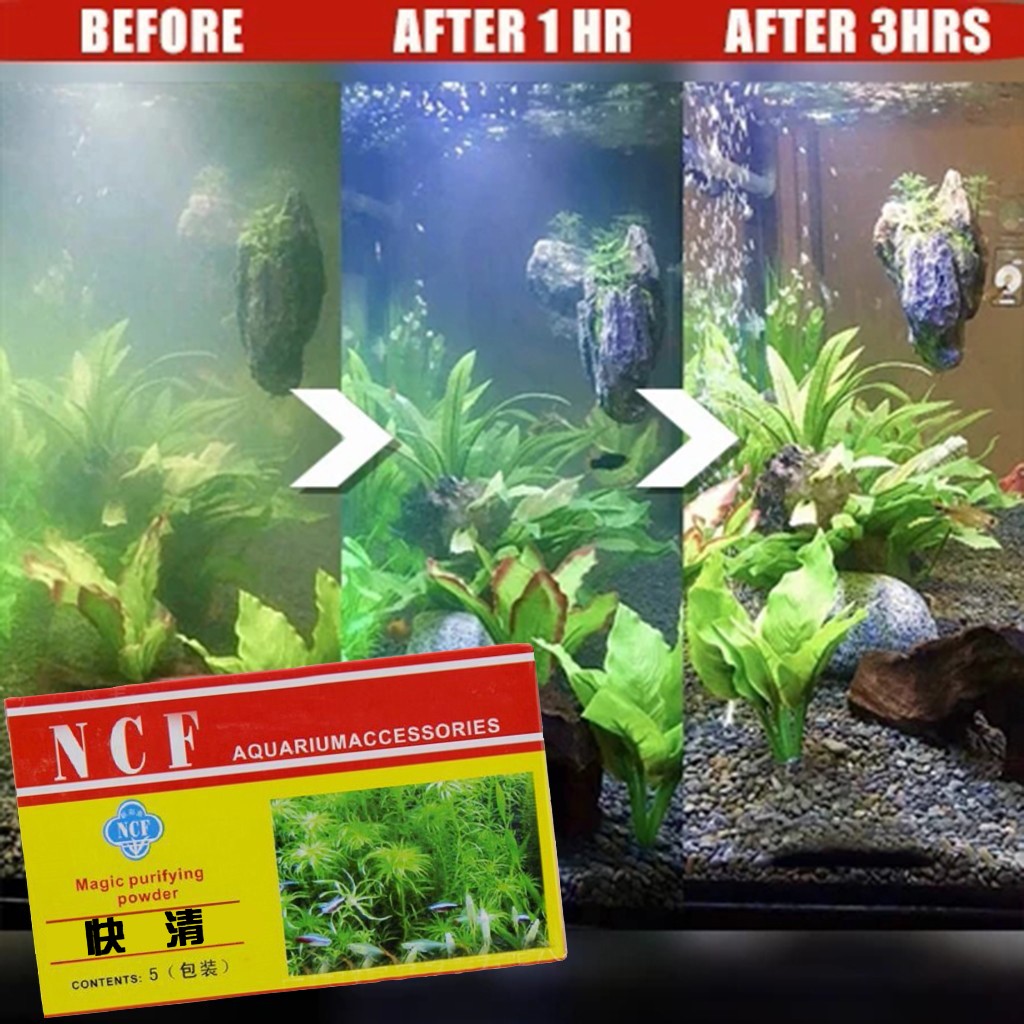 Aquarium Water Purifying Powde - Aquarium Moss review and price