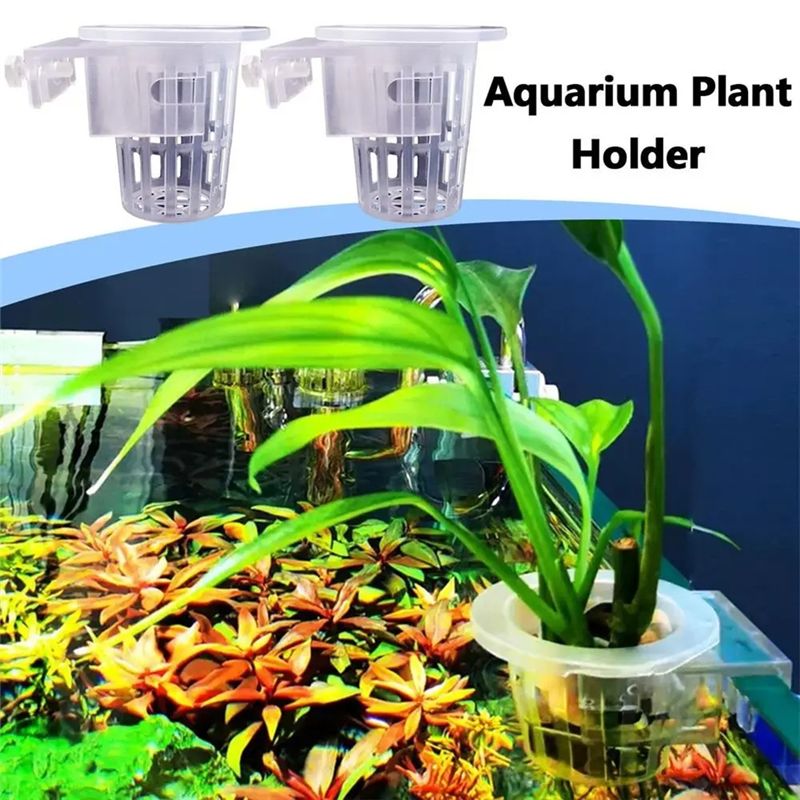 A7THK-2Pcs Transparent Hanging - Aquarium Plant Holder review and price