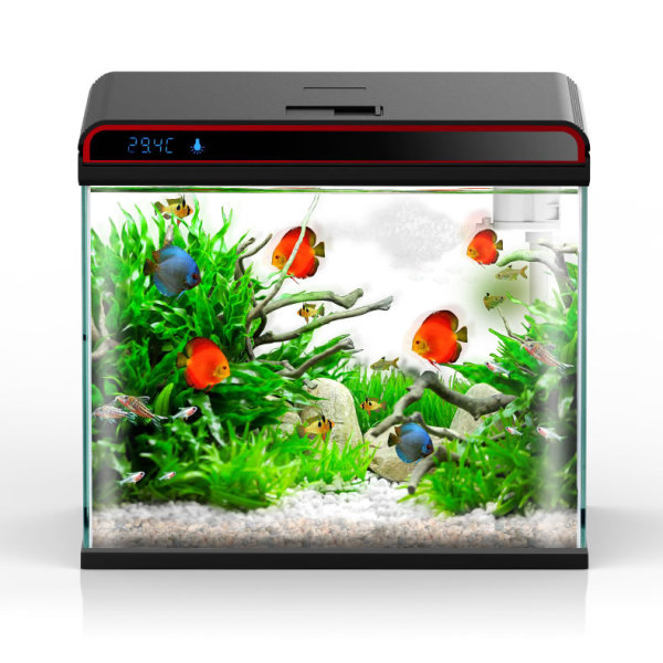 Sunsun 4-in-1 Aquarium Water C - Planted Aquarium Algae Control review and price